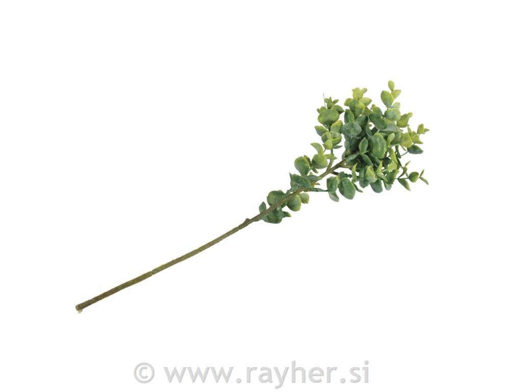 Boxwood twig40cm